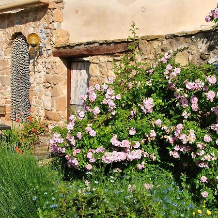 B&B Casa Rural Mas De Las Tapias 瓦德诺比斯 外观 照片