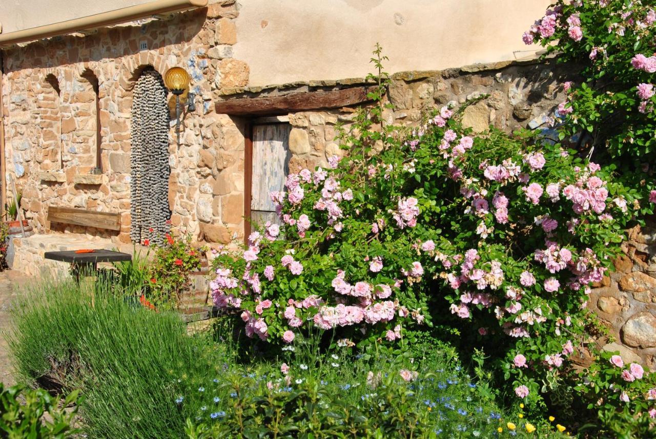 B&B Casa Rural Mas De Las Tapias 瓦德诺比斯 外观 照片