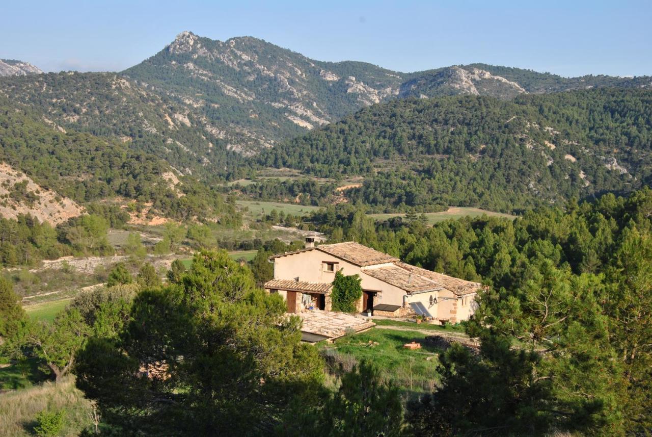 B&B Casa Rural Mas De Las Tapias 瓦德诺比斯 外观 照片